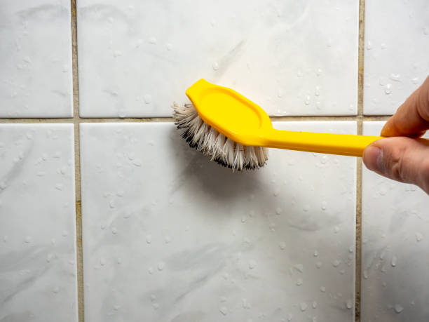 Best Toxic Mold Removal  in Anthony, NM