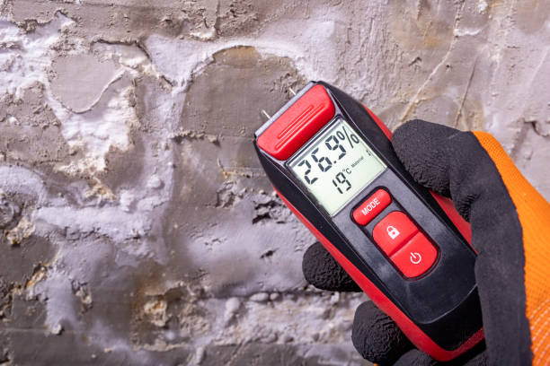 Best Certified Mold Removal  in Anthony, NM